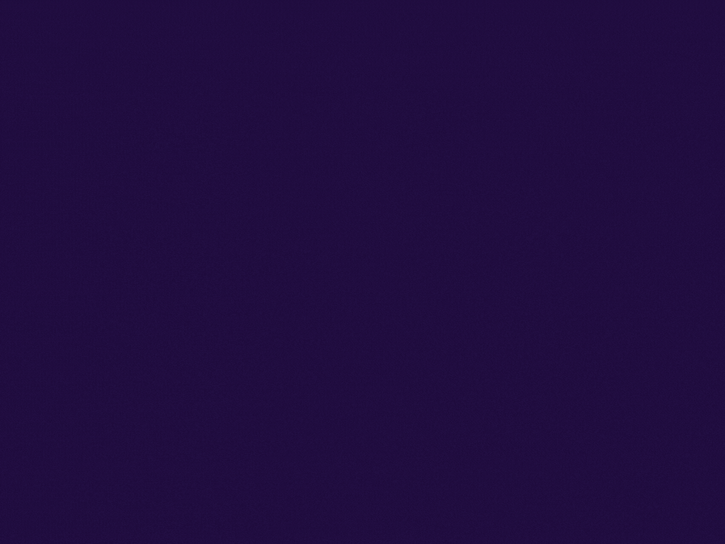 SafePays Dashboard Interface